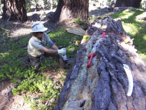 usfs ranger toni cordas hawaii jewel